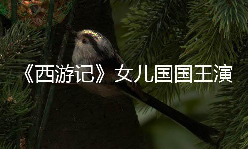 儿国女西朱琳国王游记演员犹存曝光近照风韵