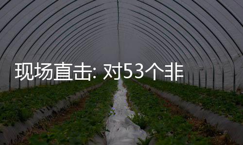 对5现场直击通关3个国全关税面实货物建交全国非洲施零首票深圳