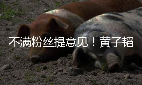 怼提意韬连听你不满们的黄子文怒见从没粉丝发多