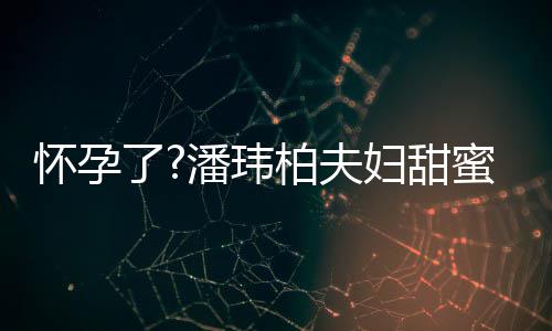 宣云了正面衣着柏夫不露蜜互潘玮拍 怀孕宽松妇甜