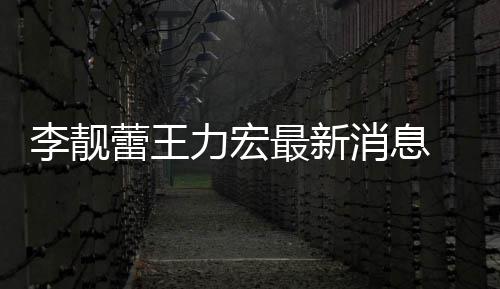 消息李靓蕾王力宏 李力宏最新买水靓蕾军斥王长期