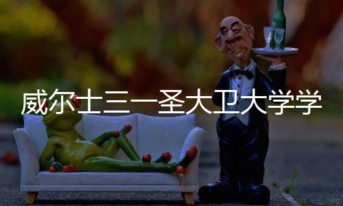 大卫大学多少学费些条件一圣有哪威尔钱 士三申请