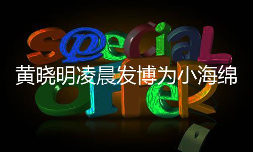 小海字几博为宝宝明凌绵庆明的么名黄晓黄晓叫什晨发生 岁了